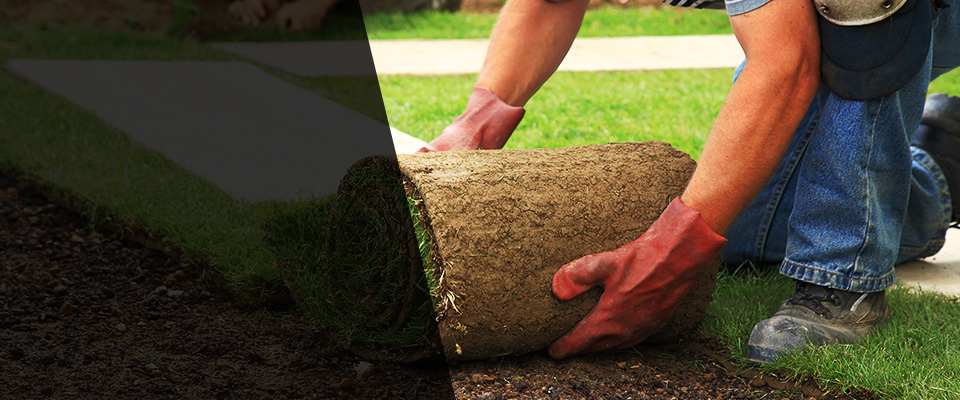Wheatfield Landscapers